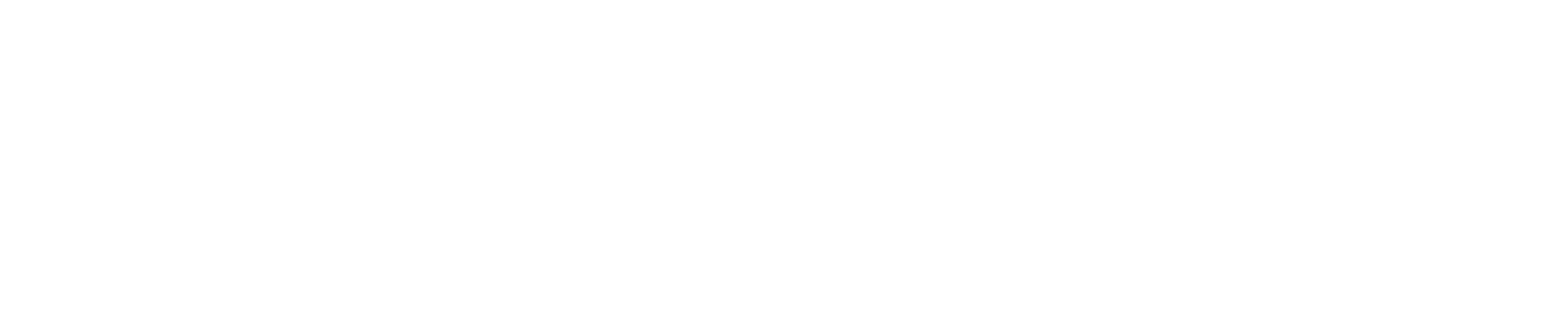 VARiSE
